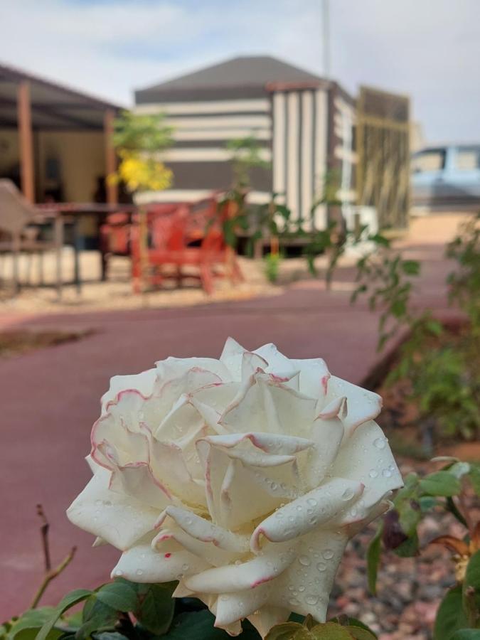 Wadi Rum Oryx Hostel & Tours ภายนอก รูปภาพ