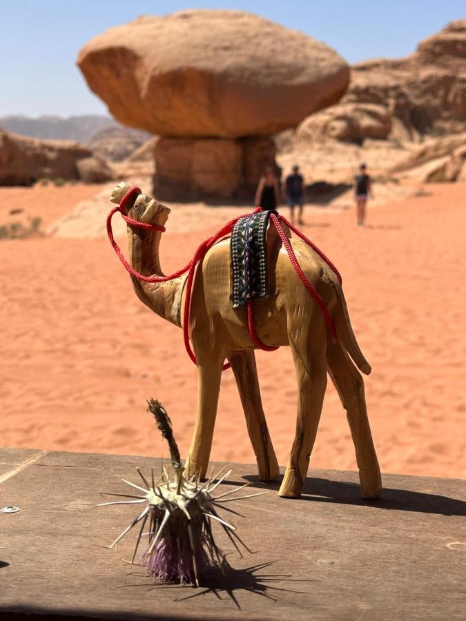 Wadi Rum Oryx Hostel & Tours ภายนอก รูปภาพ